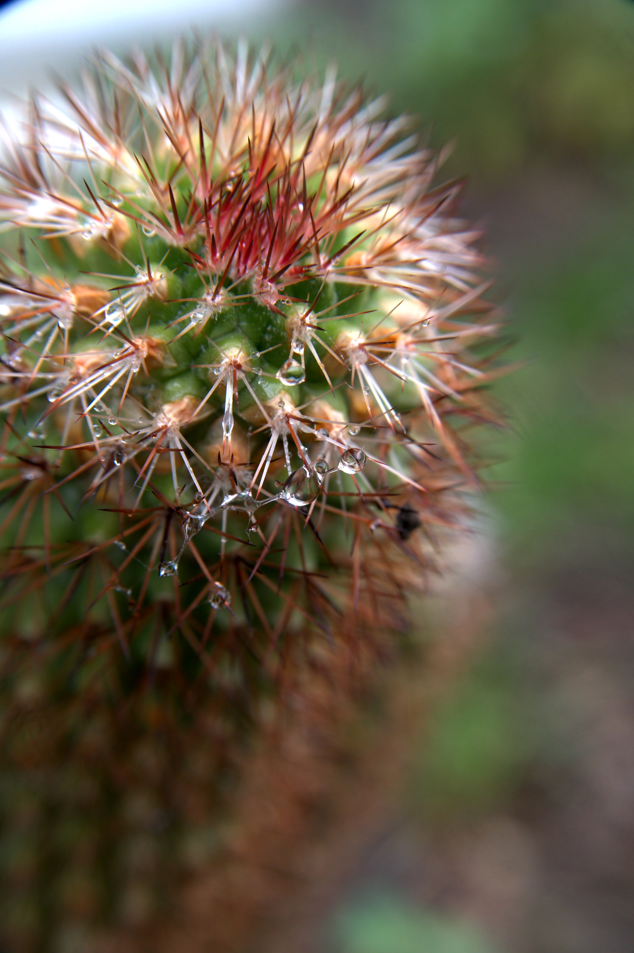 Spiky Droplets